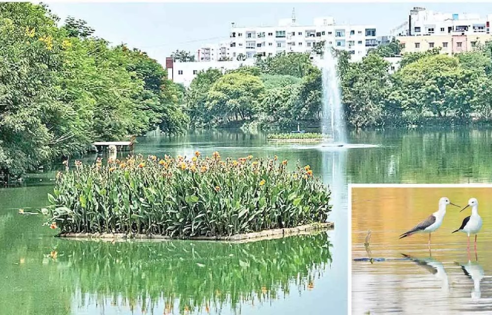 Necknamapur Lake